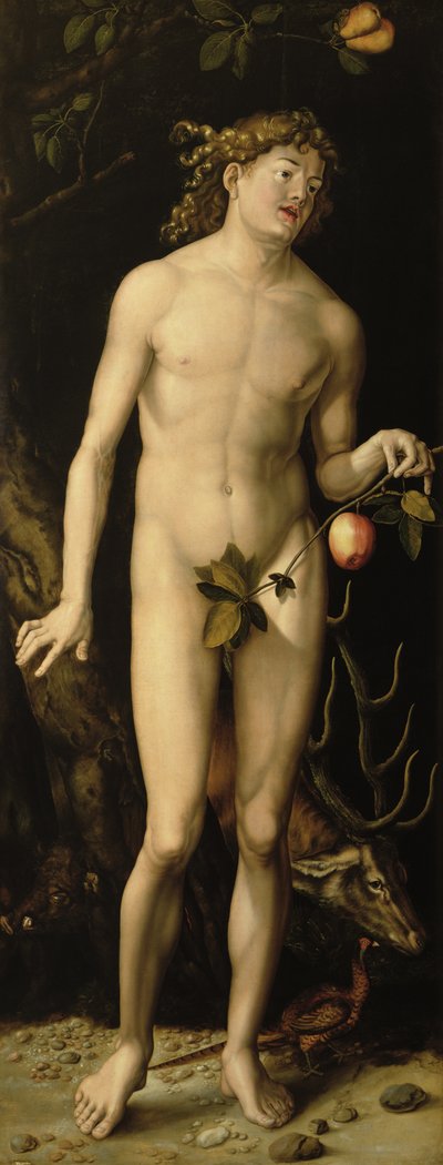 Adamo da Albrecht Dürer
